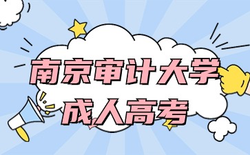 南京审计大学考试科目